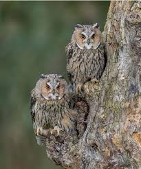 Psycho-analyse Your Players for&nbsp;Fun