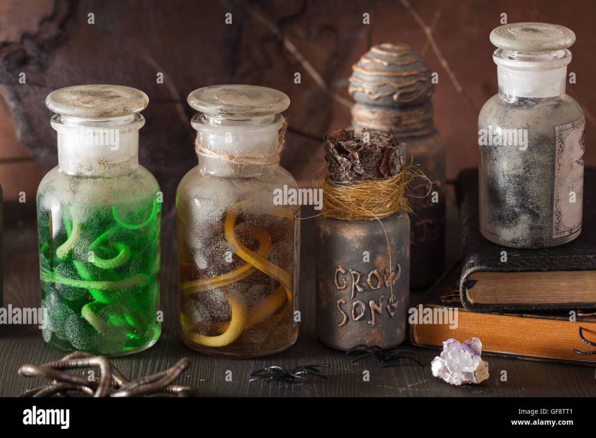 The Apprentice, Chapter&nbsp;5