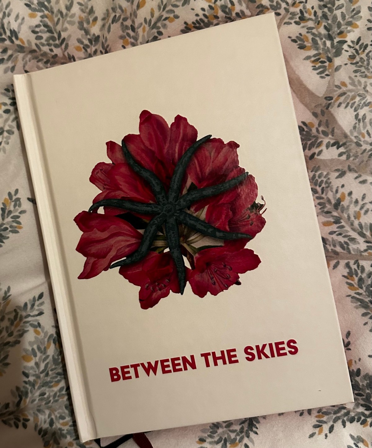 Between the Skies Part&nbsp;1