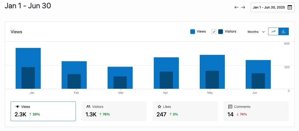 A bar chart showing views and vistors on the site between January and June 2025 - total of 2.3k views and 1.3k visitors.